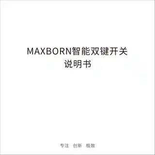 MAXBORN 智能双键开关